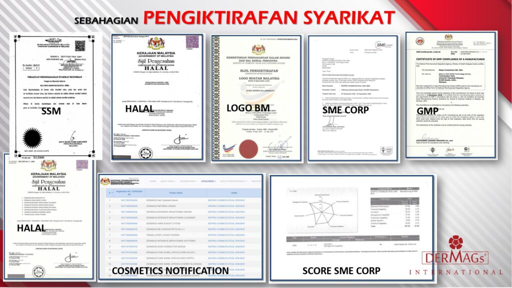 DerMags 2024 Full Presentation_250407_102906_250414_121059_page-0006