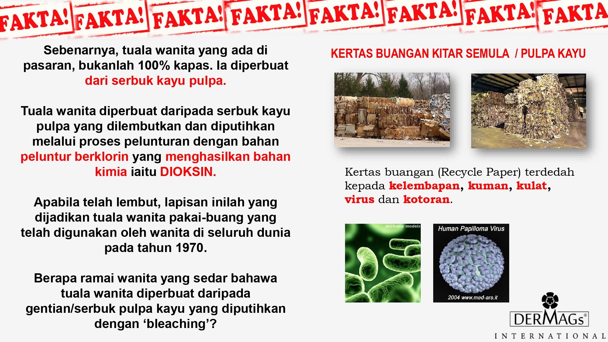 DerMags 2024 Full Presentation_250407_102906_250414_121059_page-0032