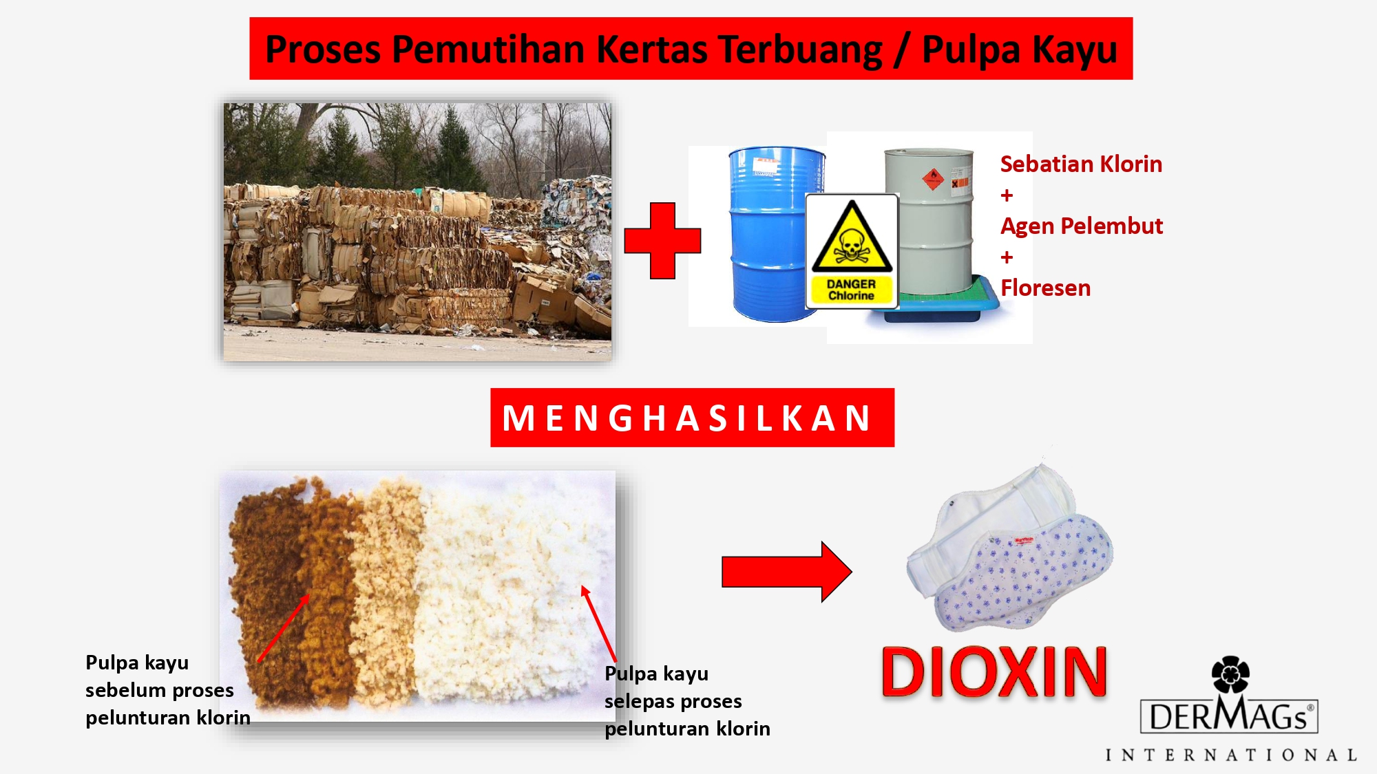 DerMags 2024 Full Presentation_250407_102906_250414_121059_page-0033
